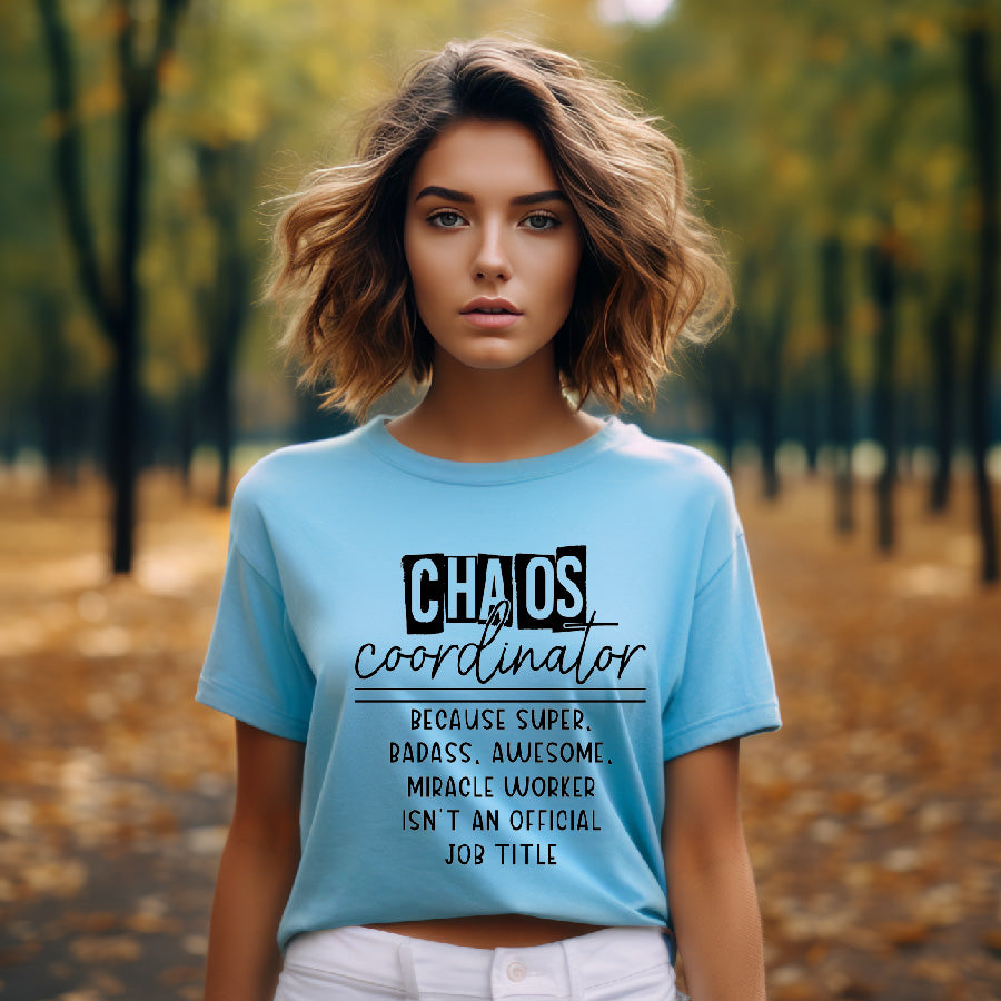 Chaos Coordinator