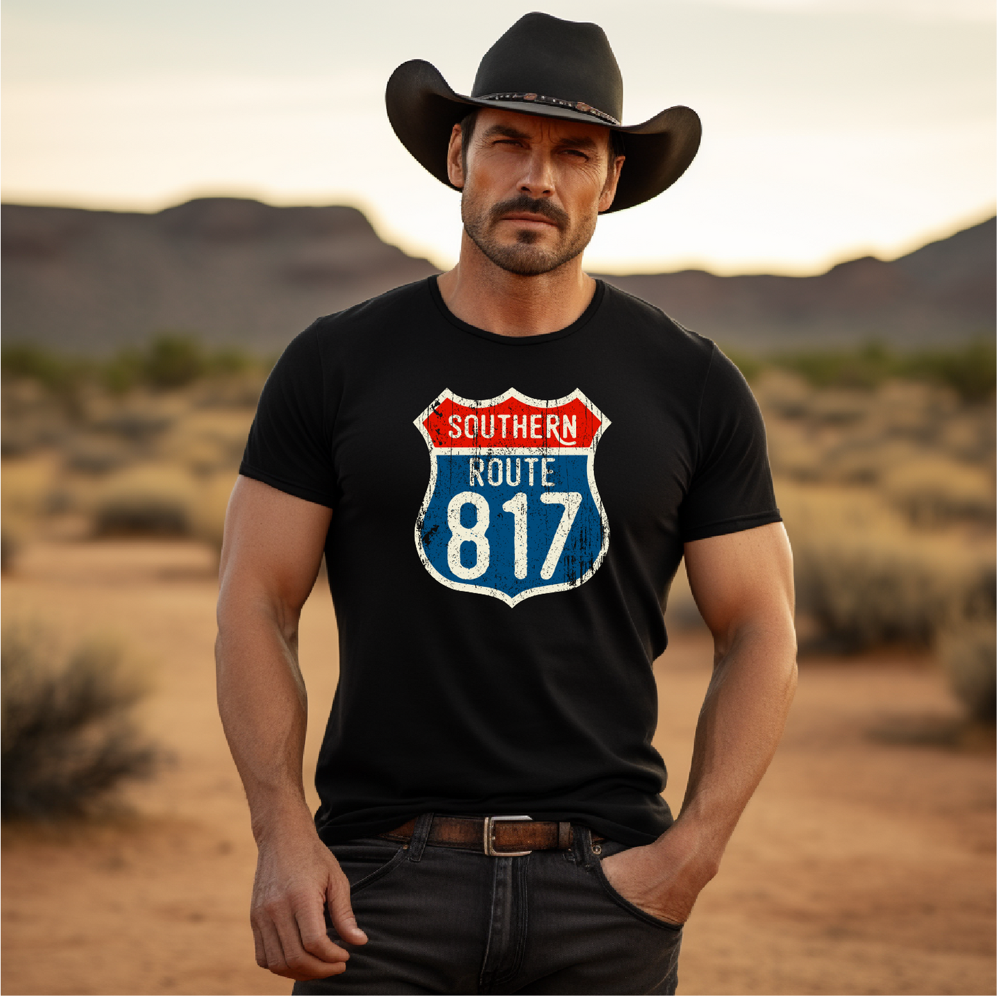 Southern Route 817