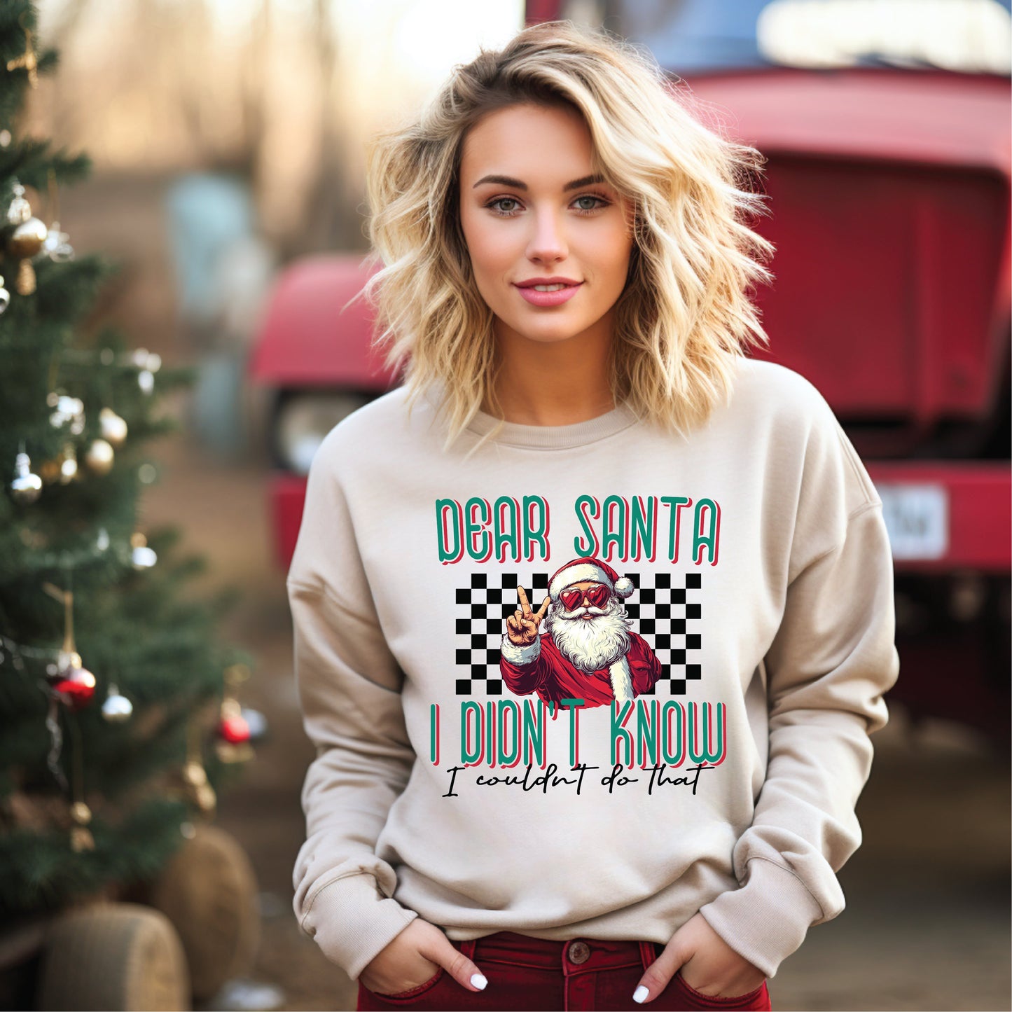 Dear Santa, I Didn’t Know